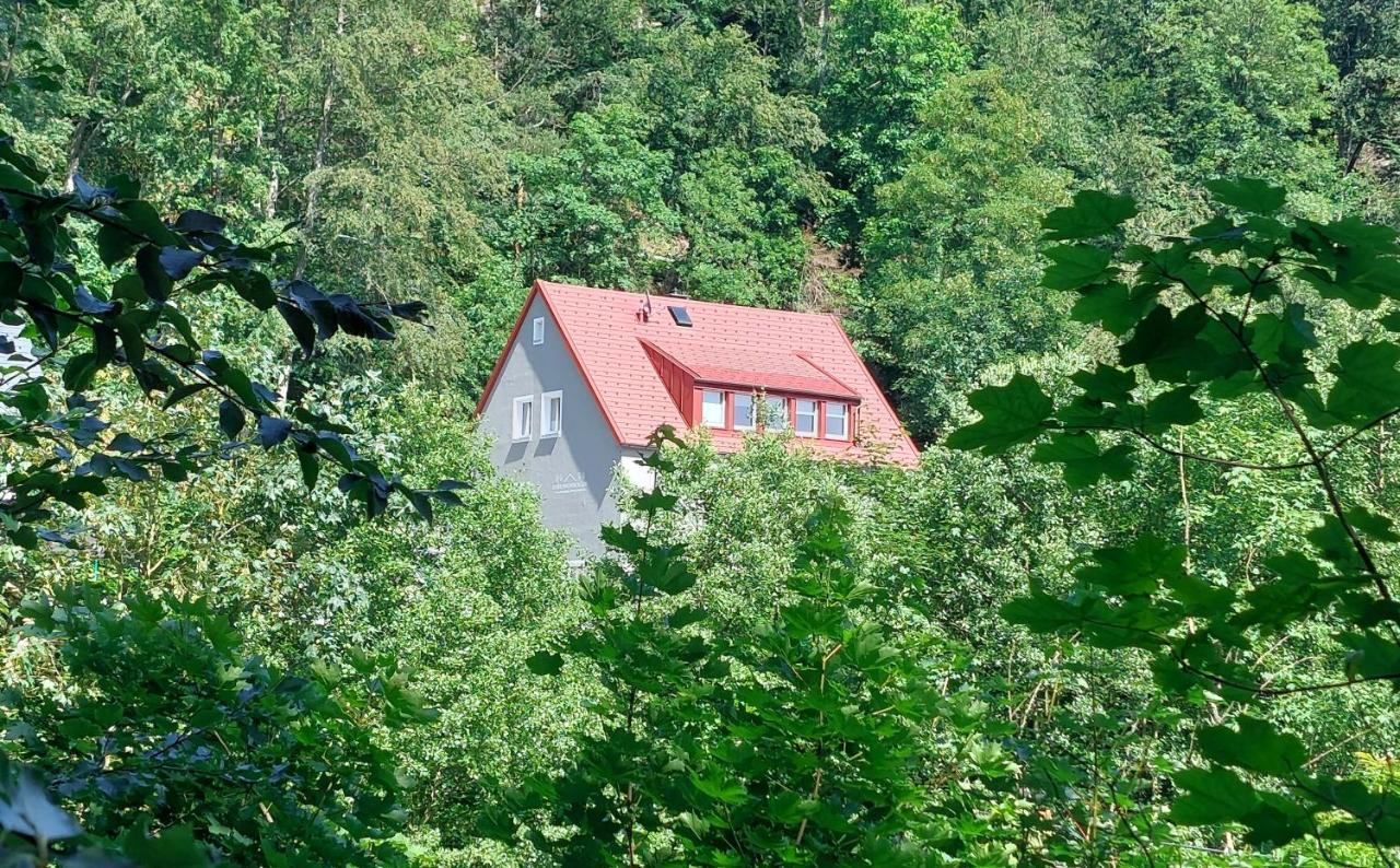 Am Quellenhaeuschen Apartment Naila Exterior photo